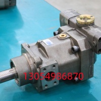 柱塞泵TFB1V80LR/1X-LRB2