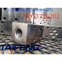 泰丰现货TLFA016D型基础盖板插装阀配件厂