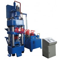 辽宁省自动炼钢脱氧剂压块机Y技术精湛  免费安装调试