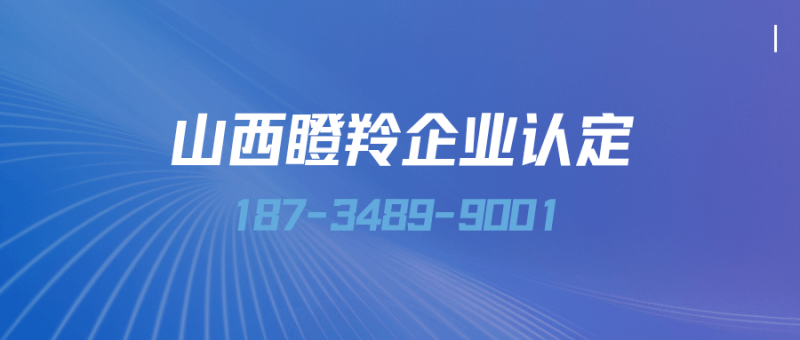 山西瞪羚企业认定