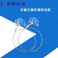 安徽天康集团防爆热电阻