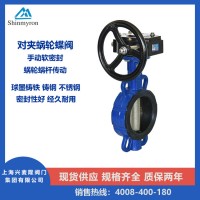 对夹式蜗轮蝶阀
