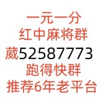 谁有一元一分红中麻将跑得快群