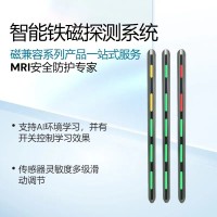 智能铁磁探测仪筛查系统金属探测门运行稳定分段检测