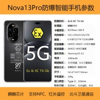 供应青岛化工厂荣耀Nova1 3Pro防爆智能手机