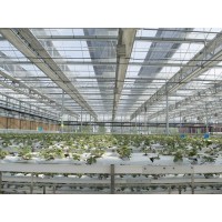 新疆网架钢结构工程「华筑兴达」网架钢结构/种类繁多