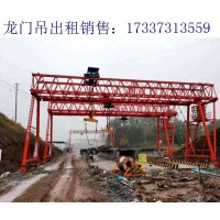 江苏南通电动葫芦龙门吊 不同型号的区别
