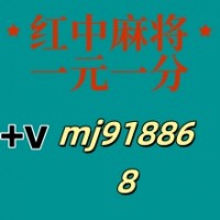澎湃新闻哪有一块红中微信群小白菜