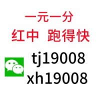 （美丽）怎么找到一元一分跑的快群（科普教程）