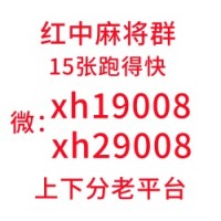 （希望）怎么找到红中麻将一元一分群【科普一下】