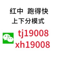 （优美）24小时1块红中麻将群【必看教程】