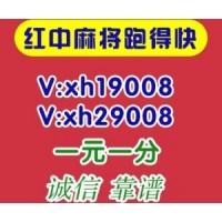 （美丽）哪里有5毛一块跑的快微信群【全新】