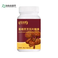 葛根灵芝压片糖果固体饮料小批量生产159O5373071