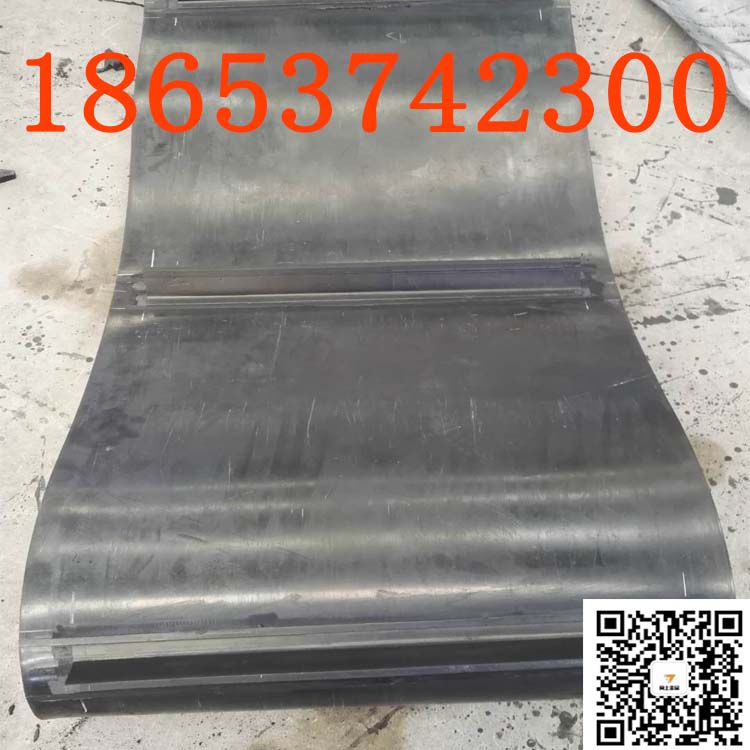 除铁器皮带 (13)