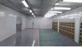 微信图片_20250522164619