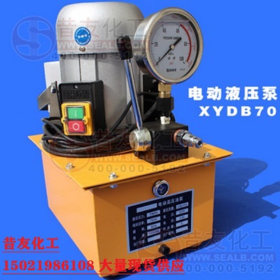 XYDB70电动泵单独 4T