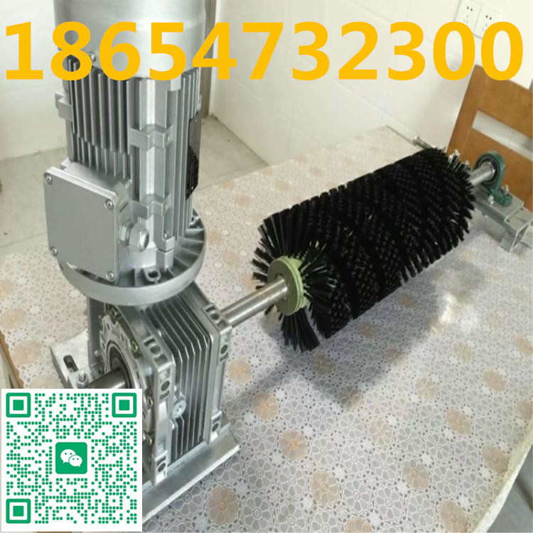 电动滚刷 (2)_副本