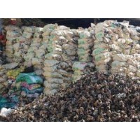 武清扣件租赁搭拆-启智建筑器材租赁包工包料扣件租赁