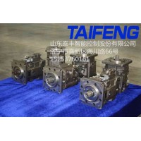 山东泰丰智能供应柱塞泵TFB1V63S/1X-LRB2-K可串泵
