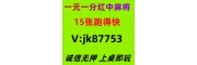 (星光璀璨)广东红中麻将跑得快@2025已升级