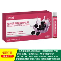槐米波森莓植物饮料免费包装设计、营销策划