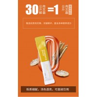 红参植物饮定制 规格灵活代加工贴牌山东丽之康可出口