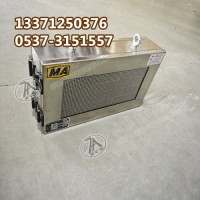 PH12(A) 矿用本安型显示屏 滚动显示