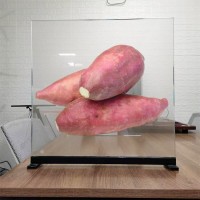 ‌全息膜源头厂 空中立体成像设备膜 虚拟主持人互动方案‌
