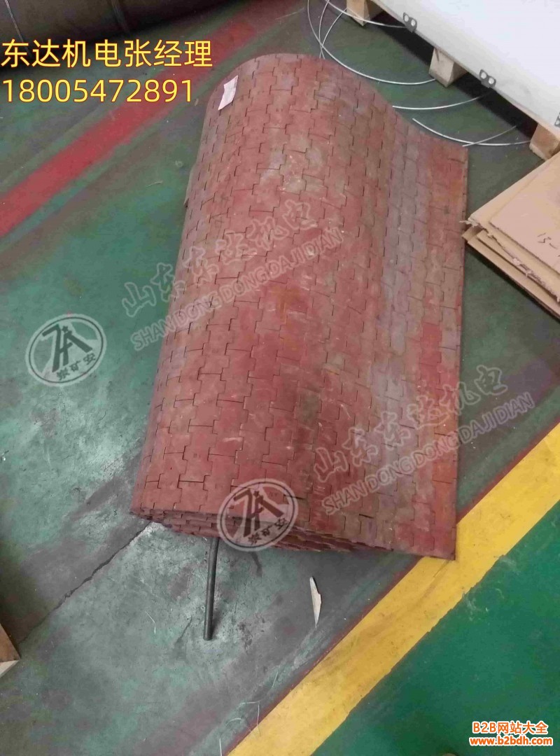 环形甲带