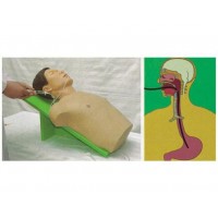 【益联医学】插胃管仿真模型