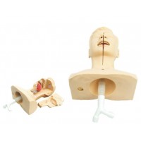 【益联医学】吸痰练习模型