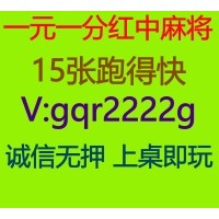 揭秘玩法找一个24小时上下分的一元一分红中麻将（推荐）