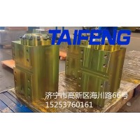 山东泰丰智能供应250T电液折弯机油缸MB-02.03N-00