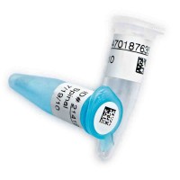 广州贝迪HT-163-499贝迪低温冷冻液氮标签