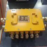 BHD-10/127-16G矿用隔爆型电缆分线盒 可扩展端口