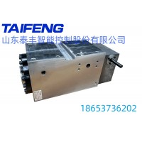 山东泰丰智能供应100T数控折弯机用油缸MB-02.01N-00