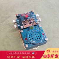 KXH127矿用隔爆兼本安型通讯声光信号器