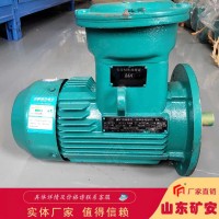 YBK2系列三相异步电机适用煤矿井下侧卸装岩机配套用