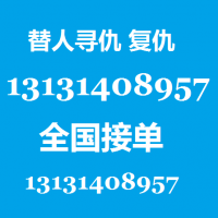雇打手杀手打架报复毁容残废13131408957