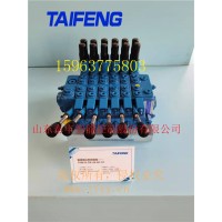 TRM20E-BSE24电比例控制多路阀泰丰智能生产