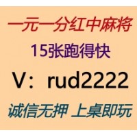 一元一分紅中跑得快麻将欢畅
