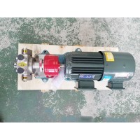 BW不锈钢保温齿轮泵 洗涤剂船用 液体传输设备