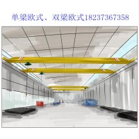 操作单梁欧式行车可能会遇到哪些风险