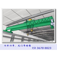 为什么大型工厂更倾向于选择双梁行车