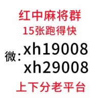 正规加入一元一块红中麻将群