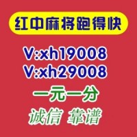 （详细了解）本地1块微信群跑的快