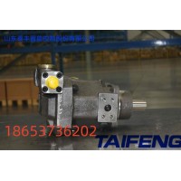 山东泰丰智能供应柱塞泵TFB1V80S/1X-LRB2-K可串泵