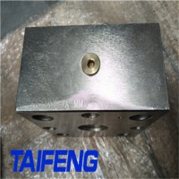 山东泰丰压力盖板TLFA032DBU-7X 通径16-160