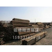 天津钢管脚手架租赁搭拆~信德建筑器材租赁站上门搭拆钢管脚手架出租