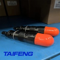 泰丰TAIFENG直动式溢流阀DBDS10K10/31.5